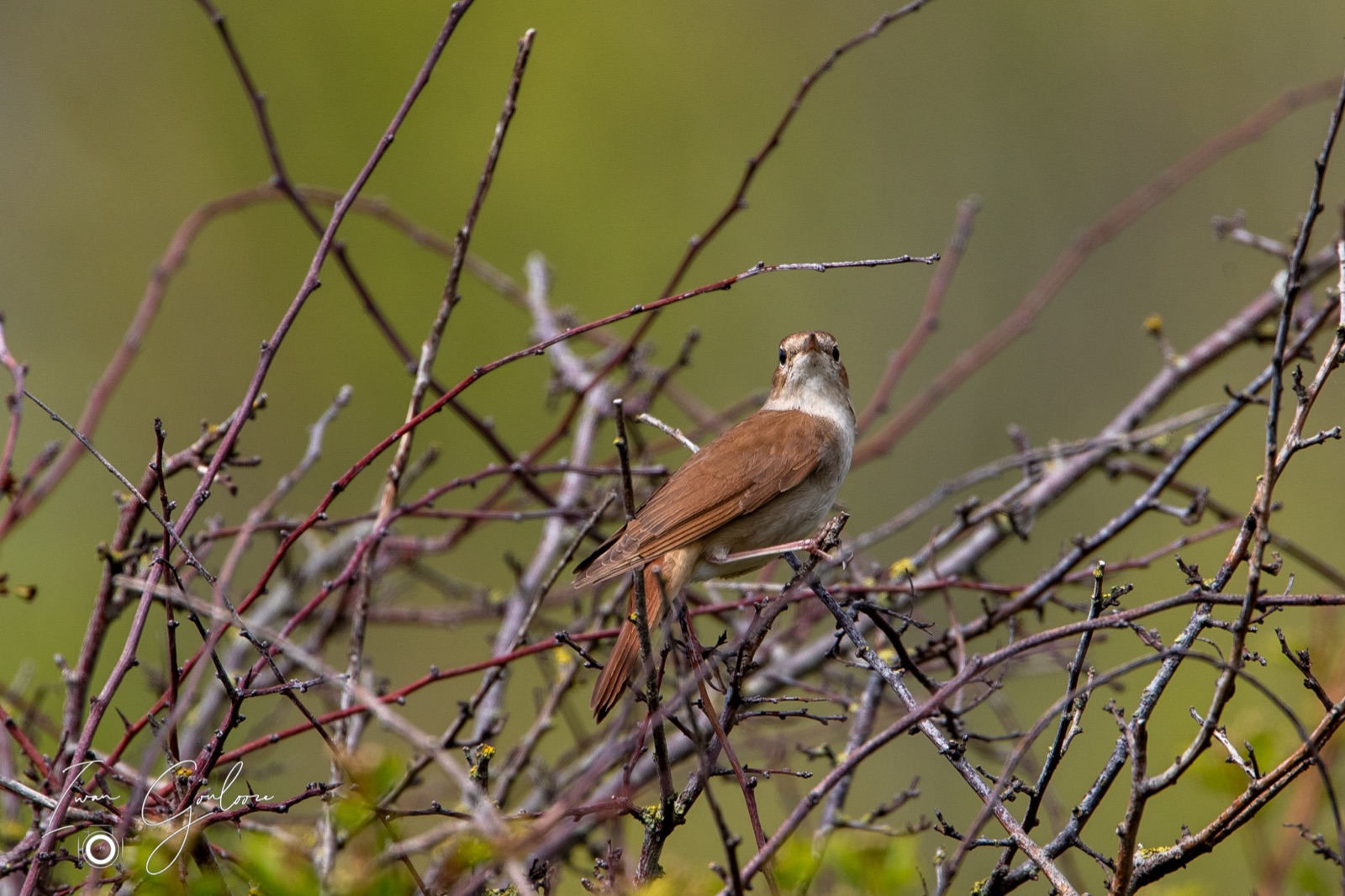 07 mei 2022 152344 1DX42268